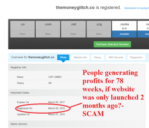 the money glitch app system hinest scam review 1