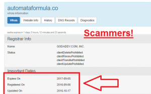 automata-system-scam-review