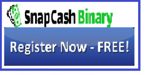 snap-cash-investing