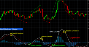 FX Autotrader
