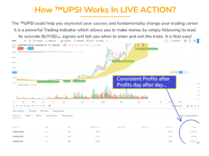 Stock Trading Mentor Box