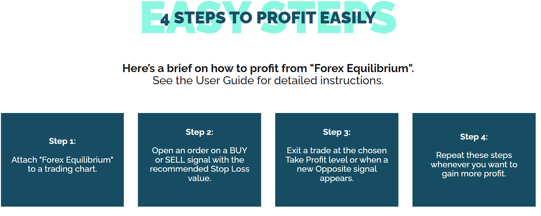 Forex Equilibrium