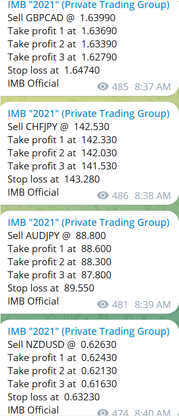 Forex Signals 